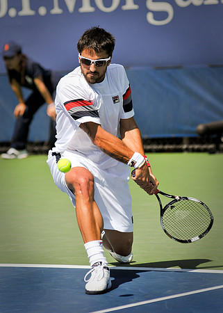 Janko Tipsarevic